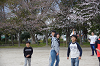 hana31 (334)_thumb.png